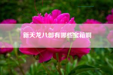 新天龙八部有哪些宝箱啊