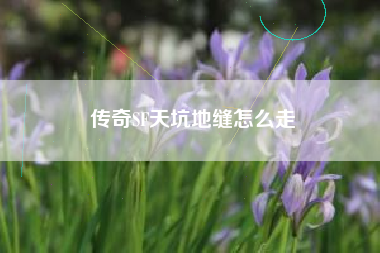 传奇SF天坑地缝怎么走