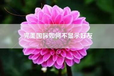 完美国际如何不显示好友