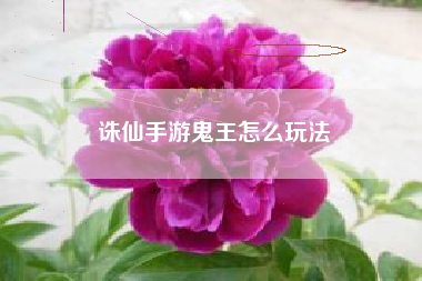诛仙手游鬼王怎么玩法
