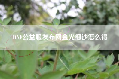 DNF公益服发布网金光细沙怎么得