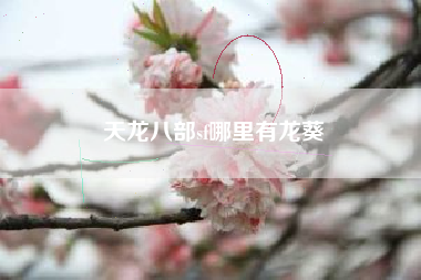 天龙八部sf哪里有龙葵
