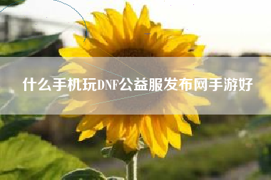什么手机玩DNF公益服发布网手游好