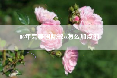 06年完美国际敏ss怎么加点的