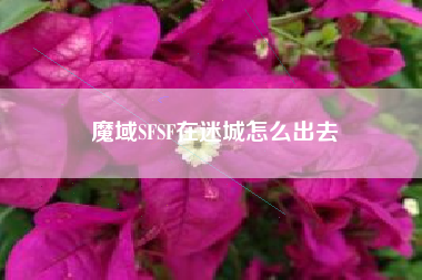 魔域SFSF在迷城怎么出去