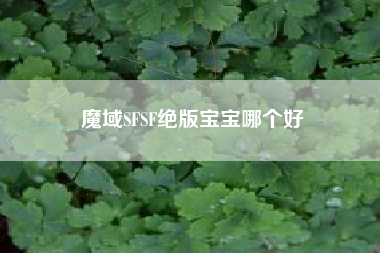 魔域SFSF绝版宝宝哪个好