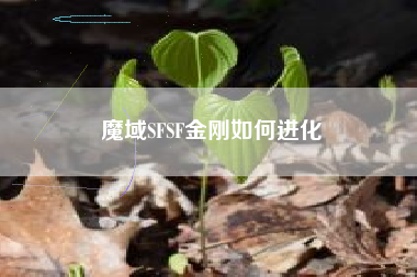 魔域SFSF金刚如何进化