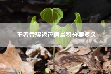 王者荣耀返还信誉积分要多久