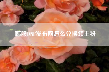 韩服DNF发布网怎么兑换领主粉