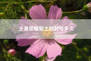 王者荣耀新之助封号多久