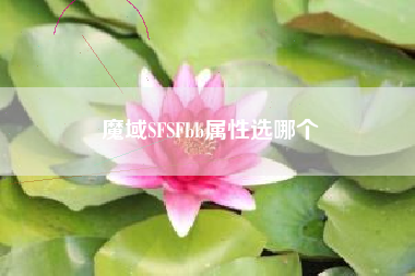 魔域SFSFbb属性选哪个