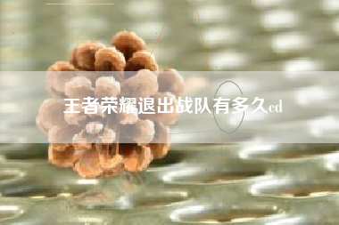 王者荣耀退出战队有多久cd
