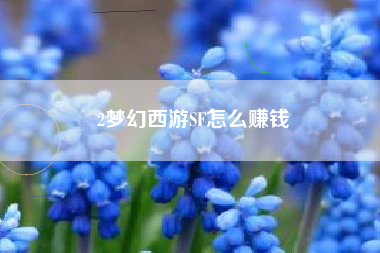 2梦幻西游SF怎么赚钱