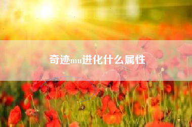 奇迹mu进化什么属性