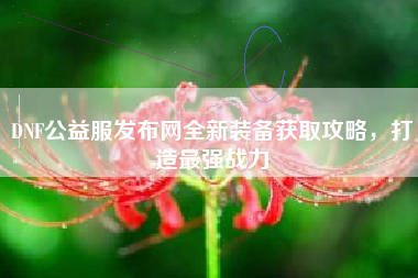 DNF公益服发布网全新装备获取攻略，打造最强战力