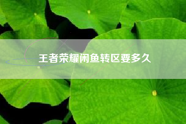 王者荣耀闲鱼转区要多久