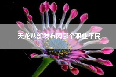 天龙八部发布网哪个职业平民