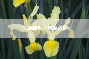 完美国际外域怎么做