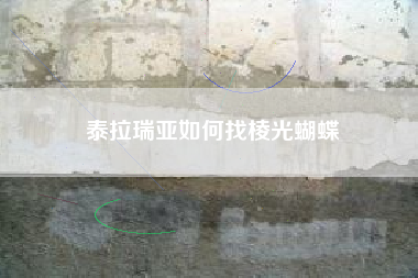 泰拉瑞亚如何找棱光蝴蝶
