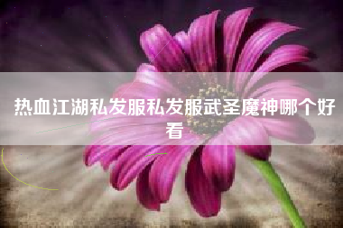 热血江湖私发服私发服武圣魔神哪个好看