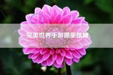 完美世界手游哪里摆摊