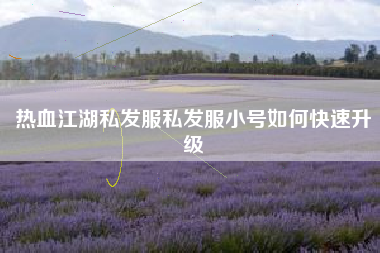 热血江湖私发服私发服小号如何快速升级