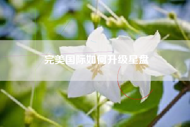 完美国际如何升级星盘