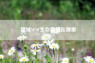 魔域SFSF生命祭坛在哪里
