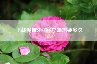 下载魔域SFSF客户端需要多久
