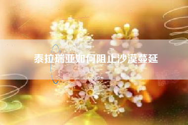 泰拉瑞亚如何阻止沙漠蔓延