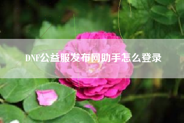 DNF公益服发布网助手怎么登录