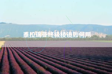 泰拉瑞亚终极棱镜如何用