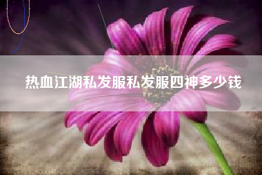 热血江湖私发服私发服四神多少钱