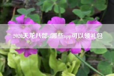 2020天龙八部sf哪些app可以领礼包