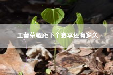 王者荣耀距下个赛季还有多久