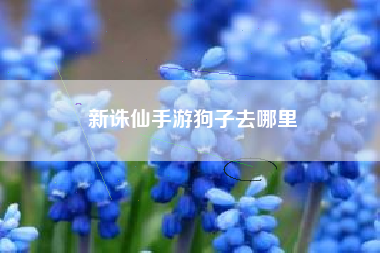 新诛仙手游狗子去哪里