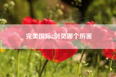 完美国际2剑灵哪个厉害