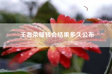 王者荣耀转会结果多久公布