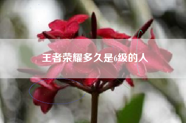 王者荣耀多久是6级的人