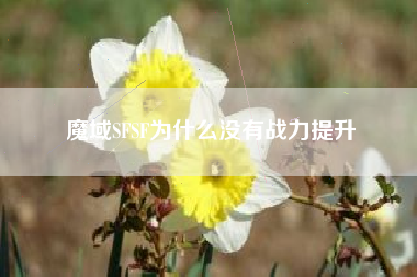魔域SFSF为什么没有战力提升