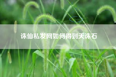 诛仙私发网如何得到天诛石