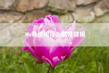 Mu奇迹用什么软件建模