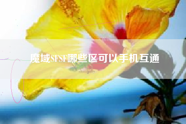 魔域SFSF哪些区可以手机互通