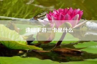 诛仙手游三卡是什么