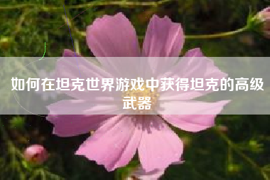 如何在坦克世界游戏中获得坦克的高级武器