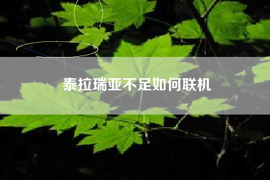 泰拉瑞亚不足如何联机