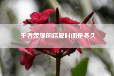 王者荣耀的结算时间是多久