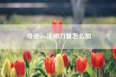 奇迹mu法师力量怎么加