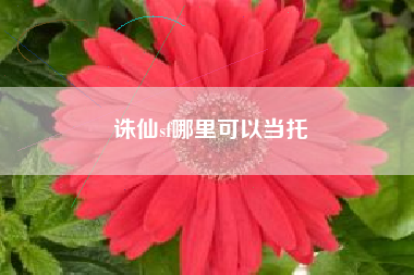 诛仙sf哪里可以当托