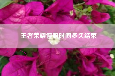 王者荣耀停服时间多久结束